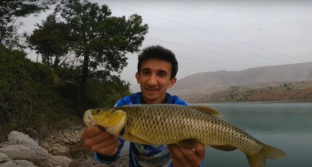 Zıpır 50  Akbalık Avı