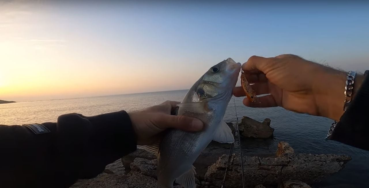 Sizden gelenlerde Adana Zıpır 50 KG avı