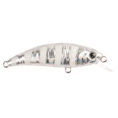 Zıpır K-18 Zebra Glow