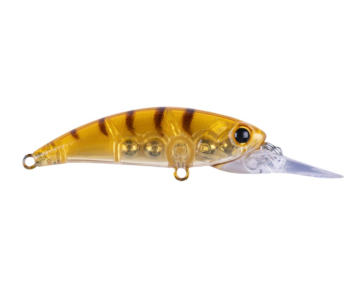 Zıpır U-11 Honey Shrimp