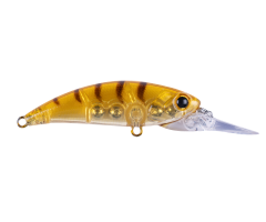 Zıpır U-11 Honey Shrimp