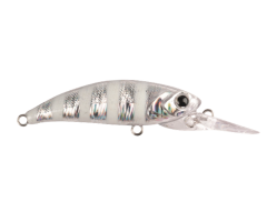 Zıpır U-18 Zebra Glow