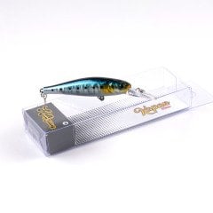 Kapan KP12 - Sardine
