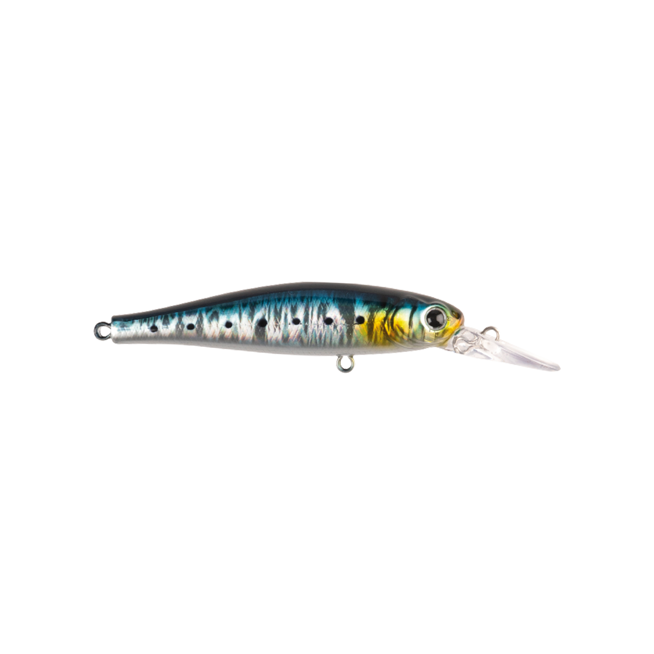 Kapan KP12 - Sardine