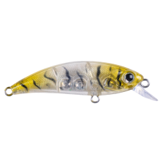 Zıpır SPK-22 Glass Shrimp