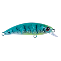 Zıpır SPK23 - Tropical Shrimp