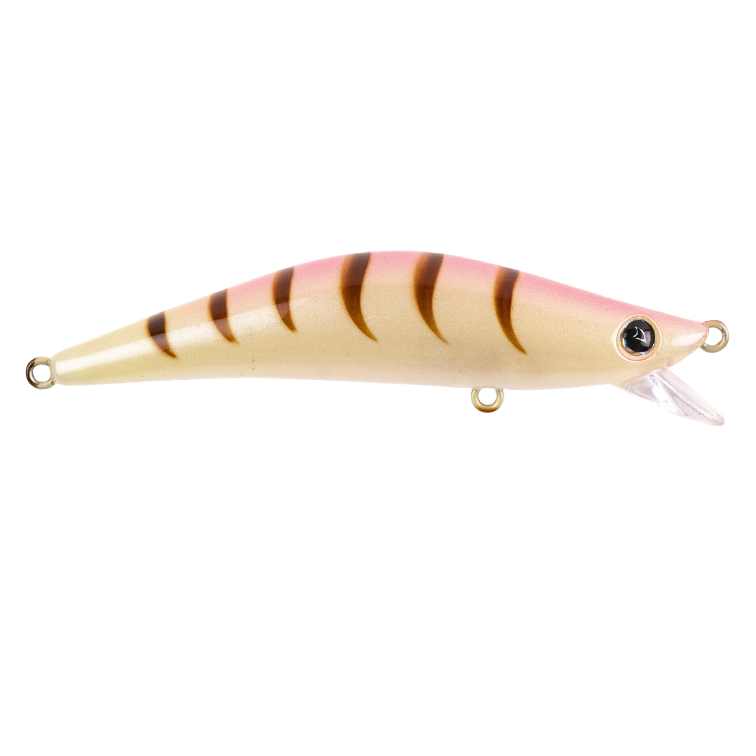 LM204 - Special Shrimp