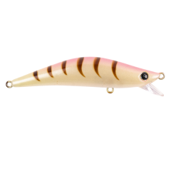 LM204 - Special Shrimp