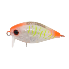 Kunduz KG  SB-102  UV Shrimp