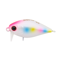 Kunduz KG  SB-148  Transparent Clown