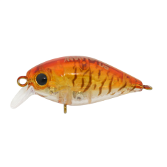 Kunduz UG  LB-100  Honey Shrimp