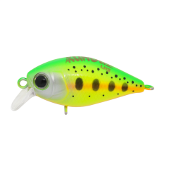 Kunduz UG  LB-144  Trout Clow