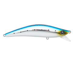 LM278 - Sardine