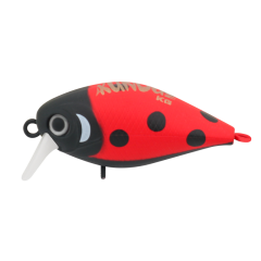 Kunduz UG  LB-154  Ladybug